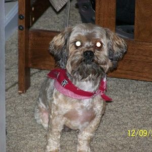 Meet your Posher, James